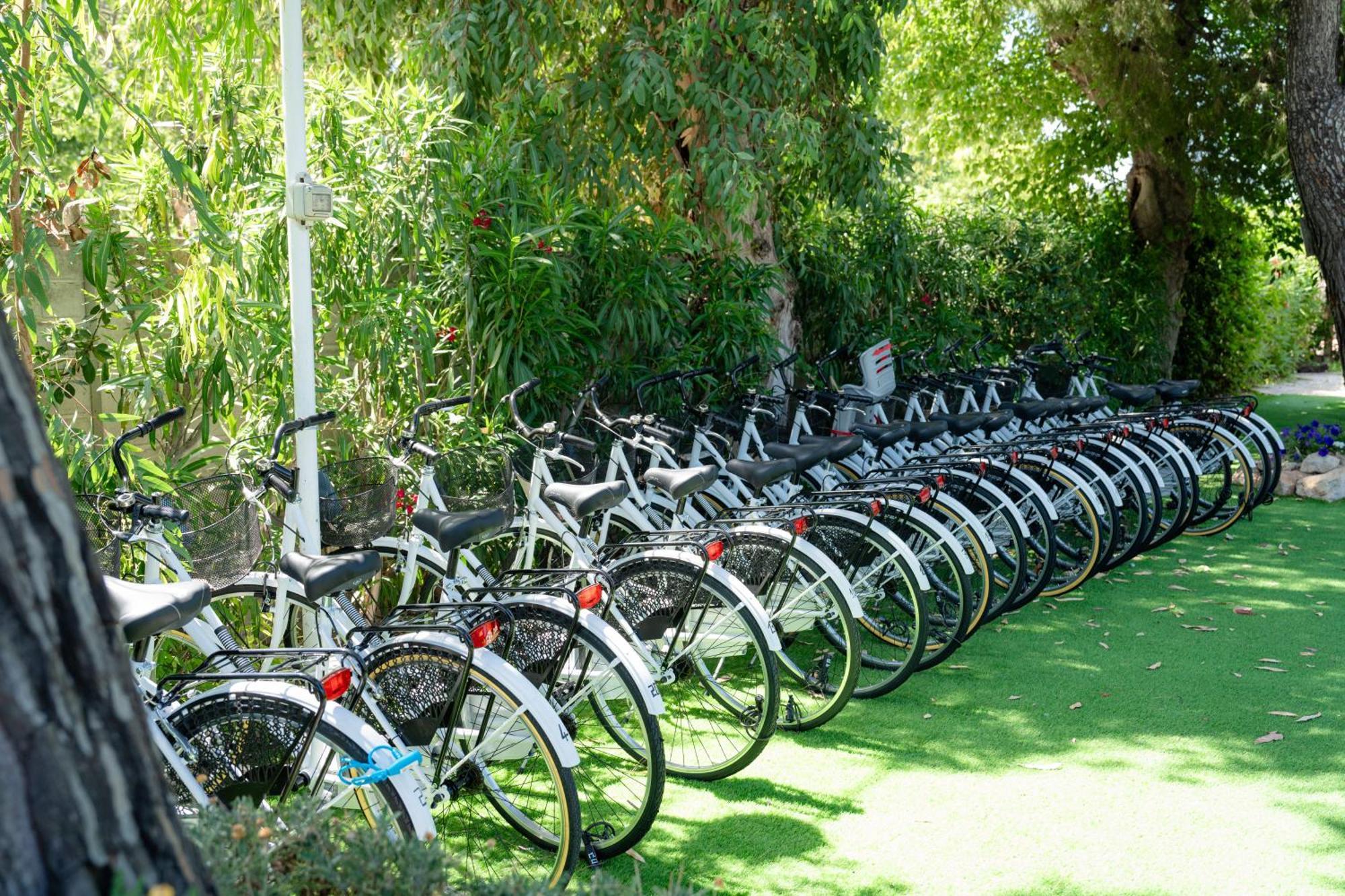 Club Del Sole Stork Family Collection Hotel Giulianova Buitenkant foto